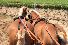 Gutschi_Ranch_08