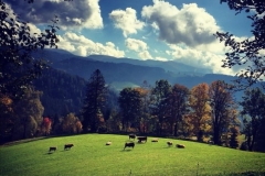 Gutschi_Ranch_16